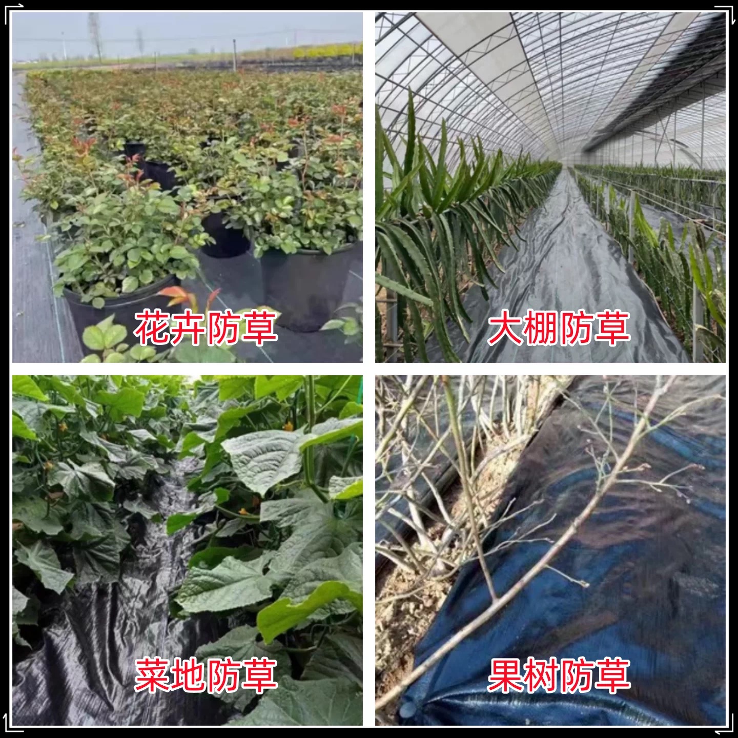 防城港市po膜防草布 - 价格