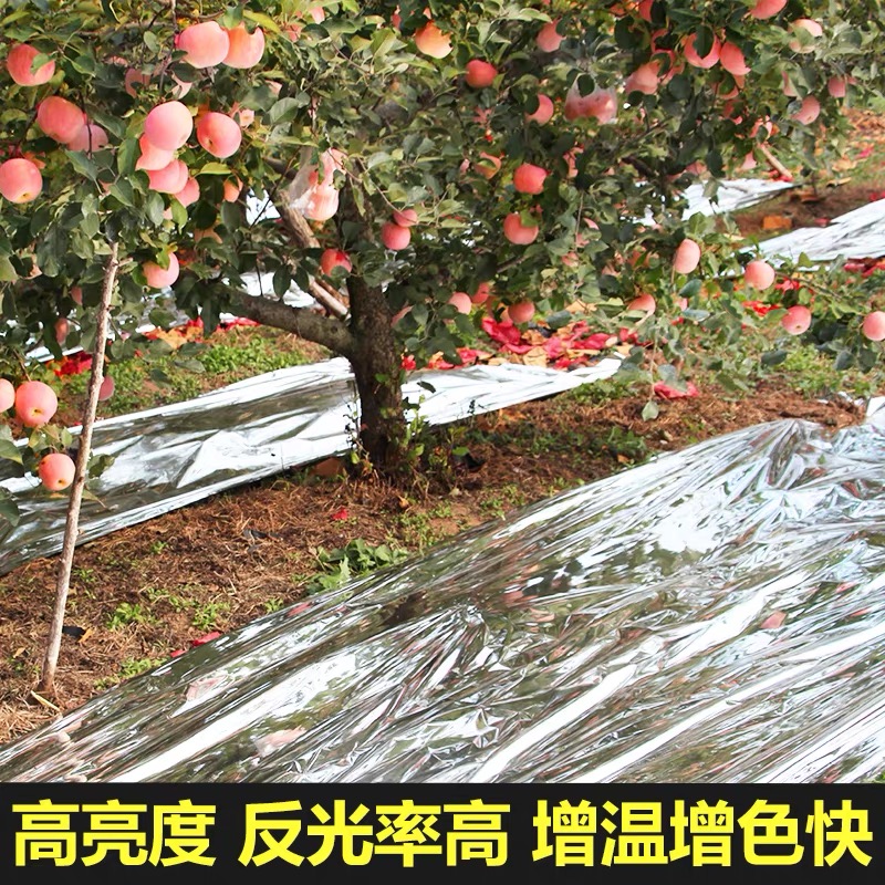 防城港市po膜果树反光膜 - 厂家